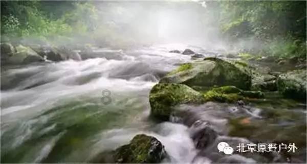 小猫钓鱼游戏龙王版有船