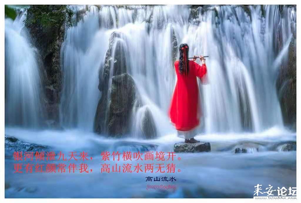 救援七星瓢虫